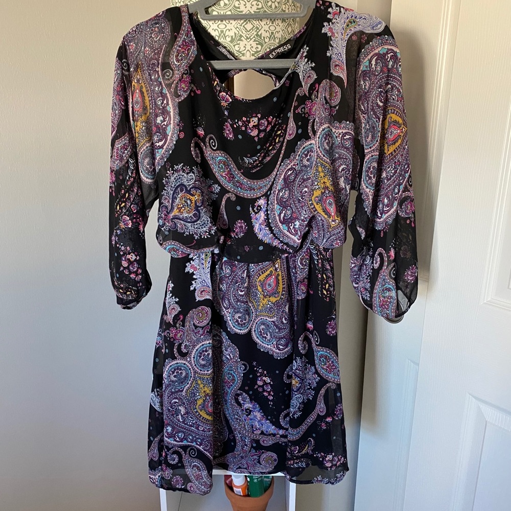 Express Dress - Picture 2 of 2